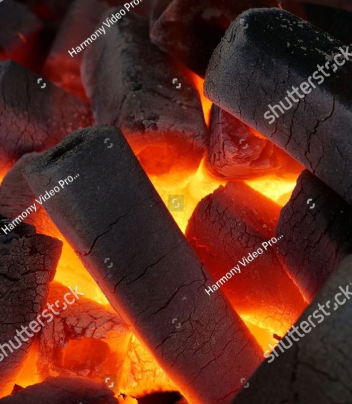 briquettes briquettes
